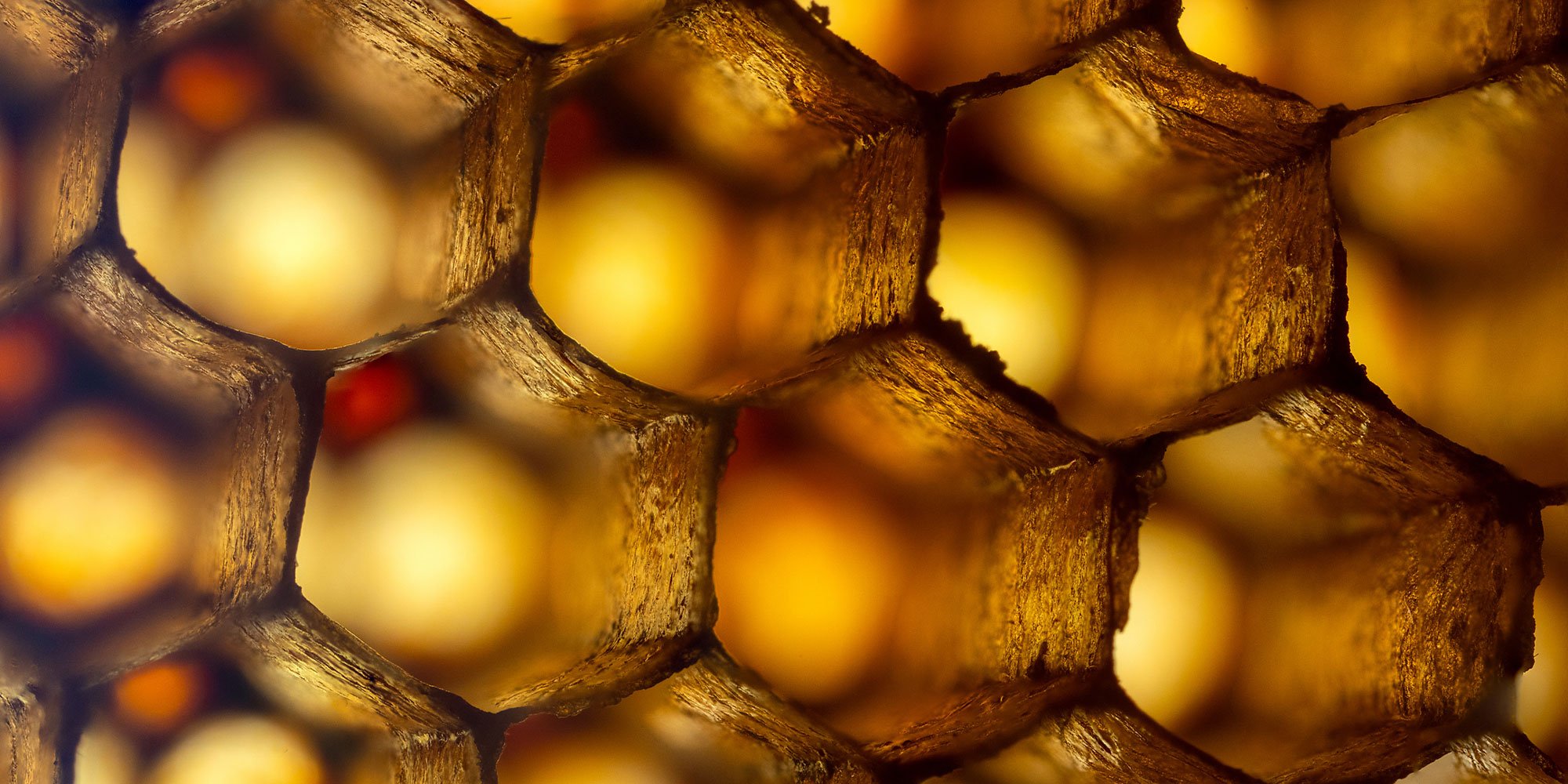 Zoomed in honeycomb pattern
