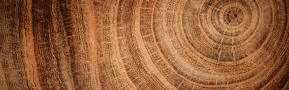 wood grain