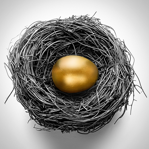 birds nest with gold egg