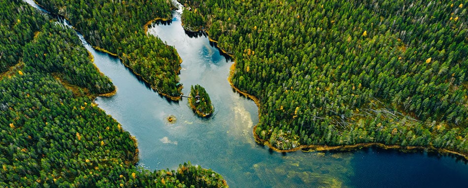 Aerial view of green forests and blue lakes and rivers in summer