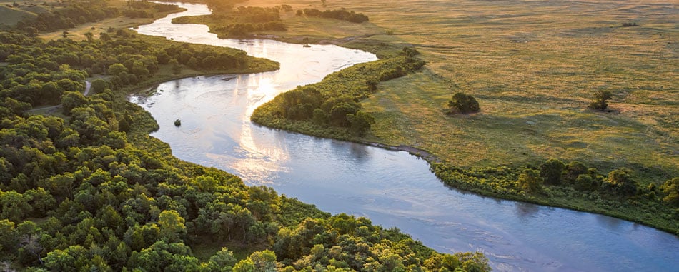 Sunset river with trees aerial view
