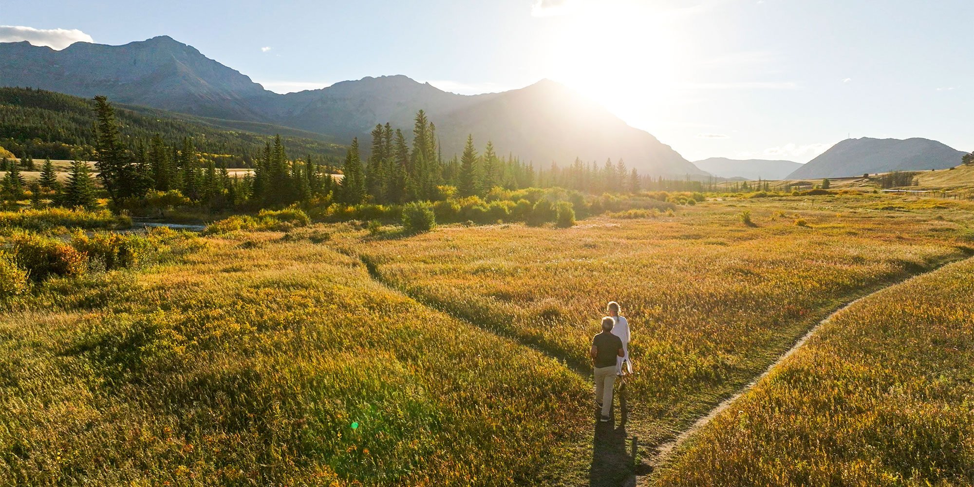 Aerial view of mature couple at intersection of pathway in mountain meadow in autumn