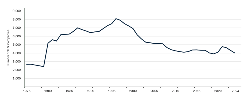 Total_Listed_Domestic_Companies_Chart