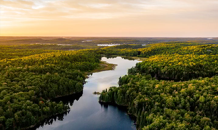 Imag of a lake in warm morning light from an aerial view