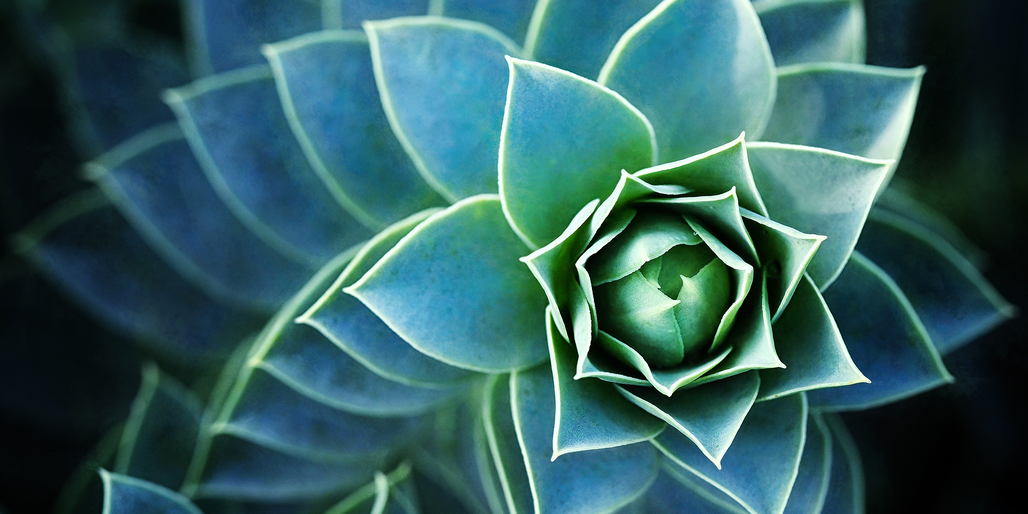 Strengthening Your Wealth Plan Through Proactive Incapacity Planning